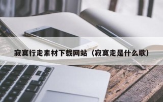 枝江寂寞行走素材下载网站（寂寞走是什么歌）